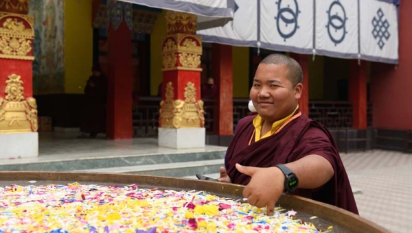 The Cotton–Clad Procession