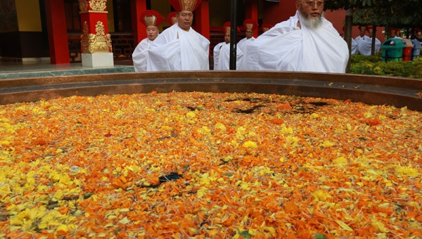 Generating Heat: The Cotton-Clad Procession